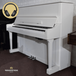 Sebastian Steinwald 121 (Korg KS-30) PWH zilver silent piano 