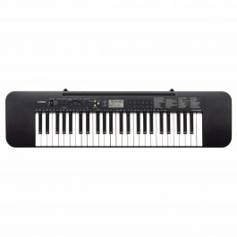 Casio CTK-240 keyboard 