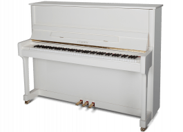 Feurich 122 - Universal PWH messing piano 