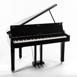 Oostendorp Digital Classic Mini Grand Elite III PE chroom 