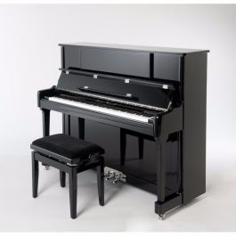 Sebastian Steinwald 123 PE zilver piano 