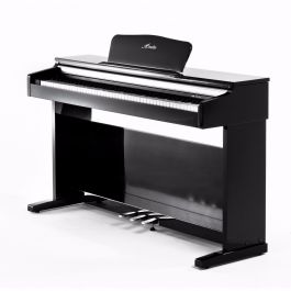 Amadeus D-300 PE digitale piano 