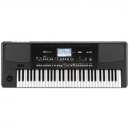 Korg Pa300 keyboard 