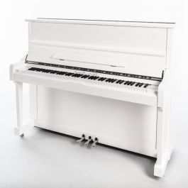 Sebastian Steinwald 121 PWH zilver piano 