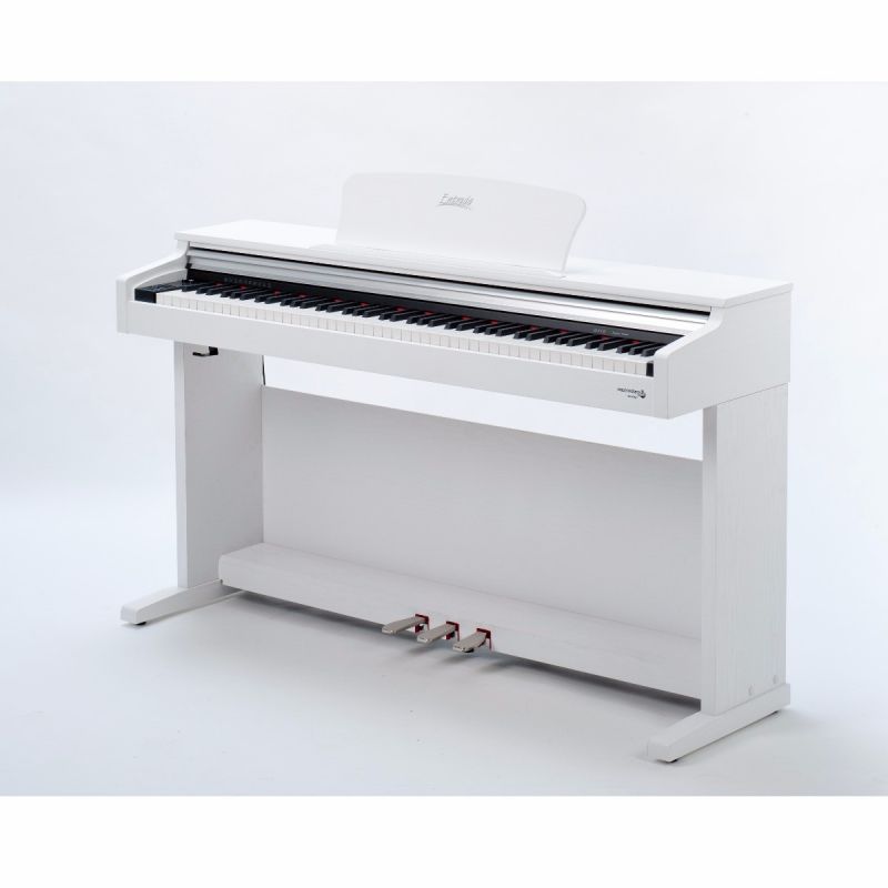 Stereotype olifant limiet Entrada D110 WH digitale piano | Trustpilot score: 9.6!