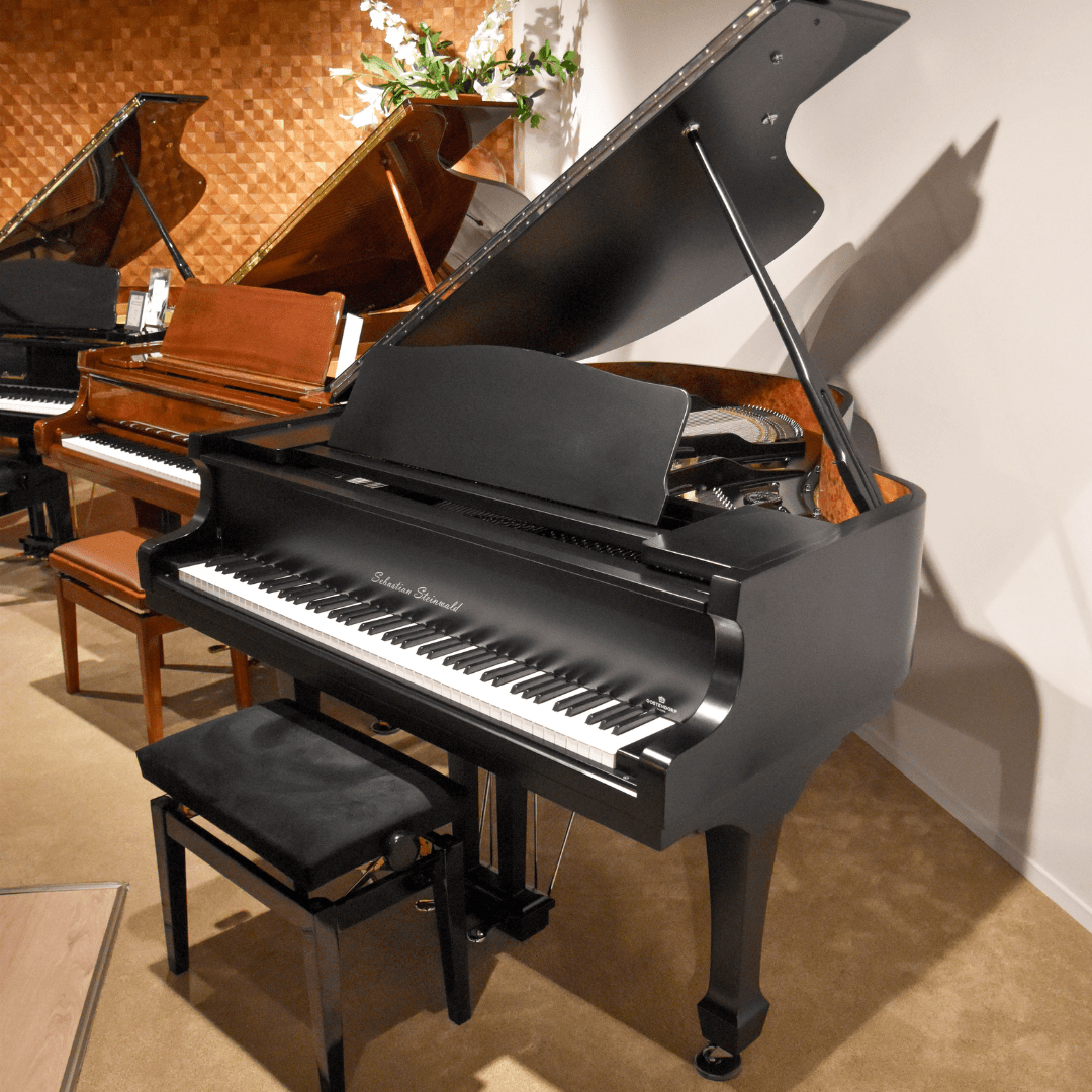 Sebastian Steinwald GP-168 Black Jewel zilver vleugel