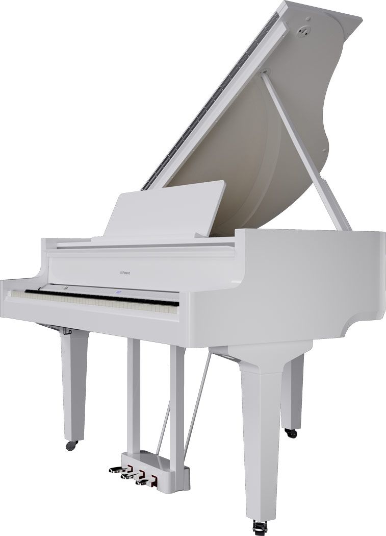 Roland GP-9M PW digitale vleugel