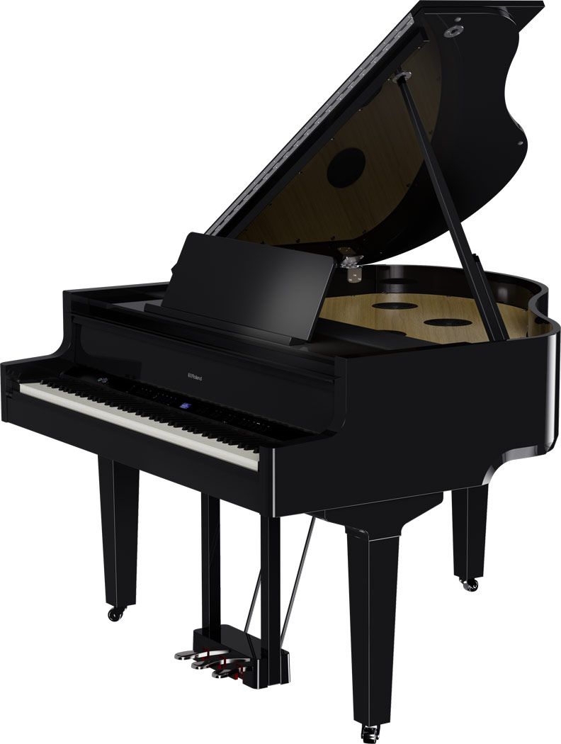 Roland GP-9 PE digitale vleugel
