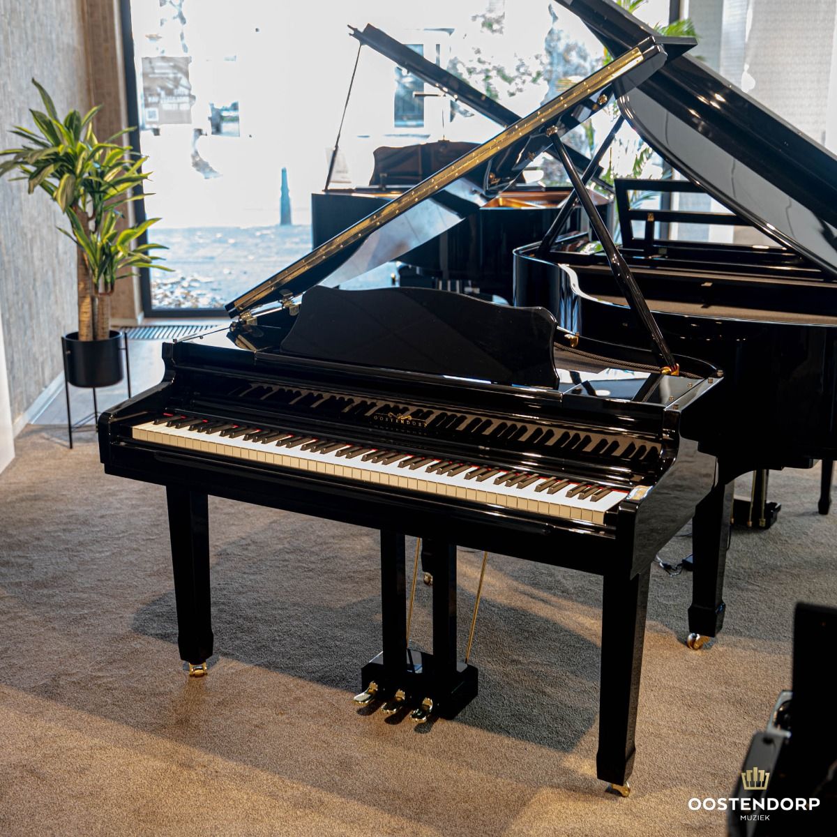 Oostendorp Digital Classic Semi Grand Elite IV PE messing afbeelding