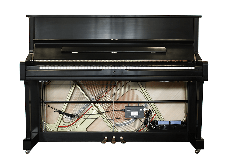 Piano Life Saver System 5PS dampp chaser / luchtbevochtiger