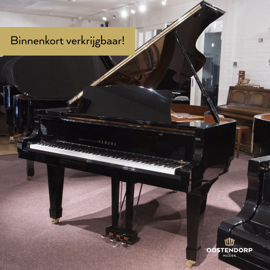 Yamaha C5L PE messing vleugel 6125679-4158 afbeelding