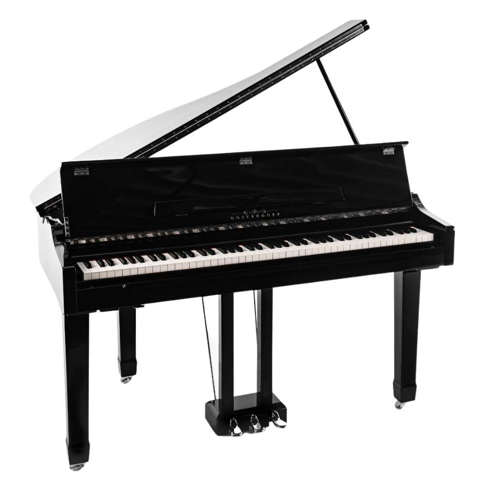 Oostendorp Digital Classic Mini Grand Elite IV PE chroom afbeelding