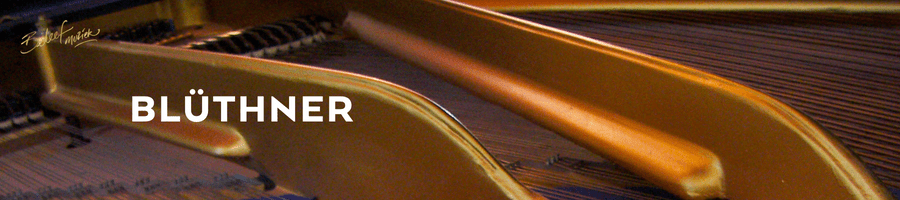 Blüthner piano's en vleugels
