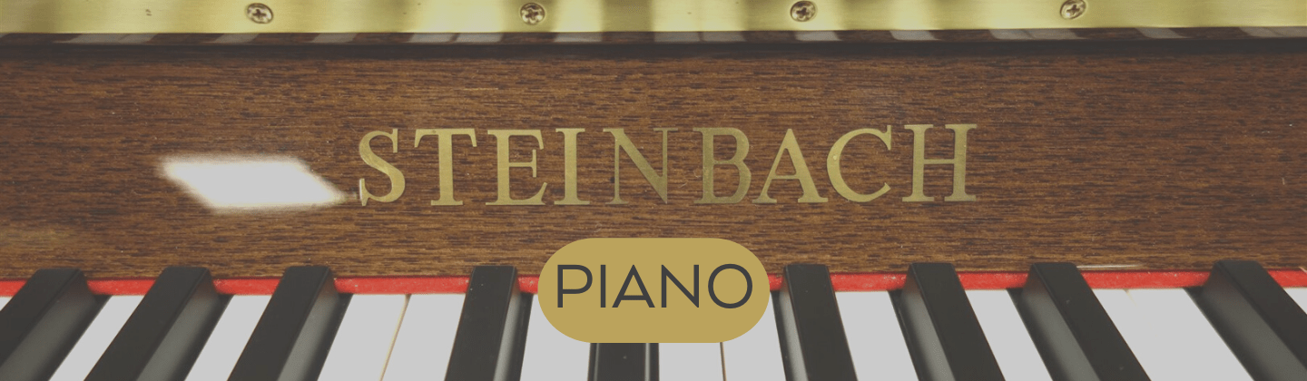 Banner Steinbach piano